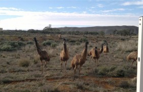 Mining weather station Weather Maestro installation Emus