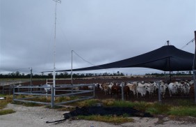 Service feedlot weather station mk4 UHF Telemetry