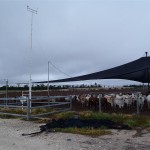 Service feedlot weather station mk4 UHF Telemetry
