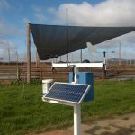 Feedlot Weather Station Weather Maestro with WeatherMation LIVE service
